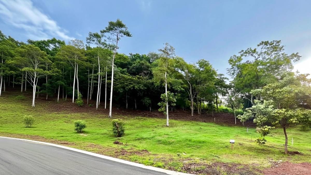 Property at Tamarindo