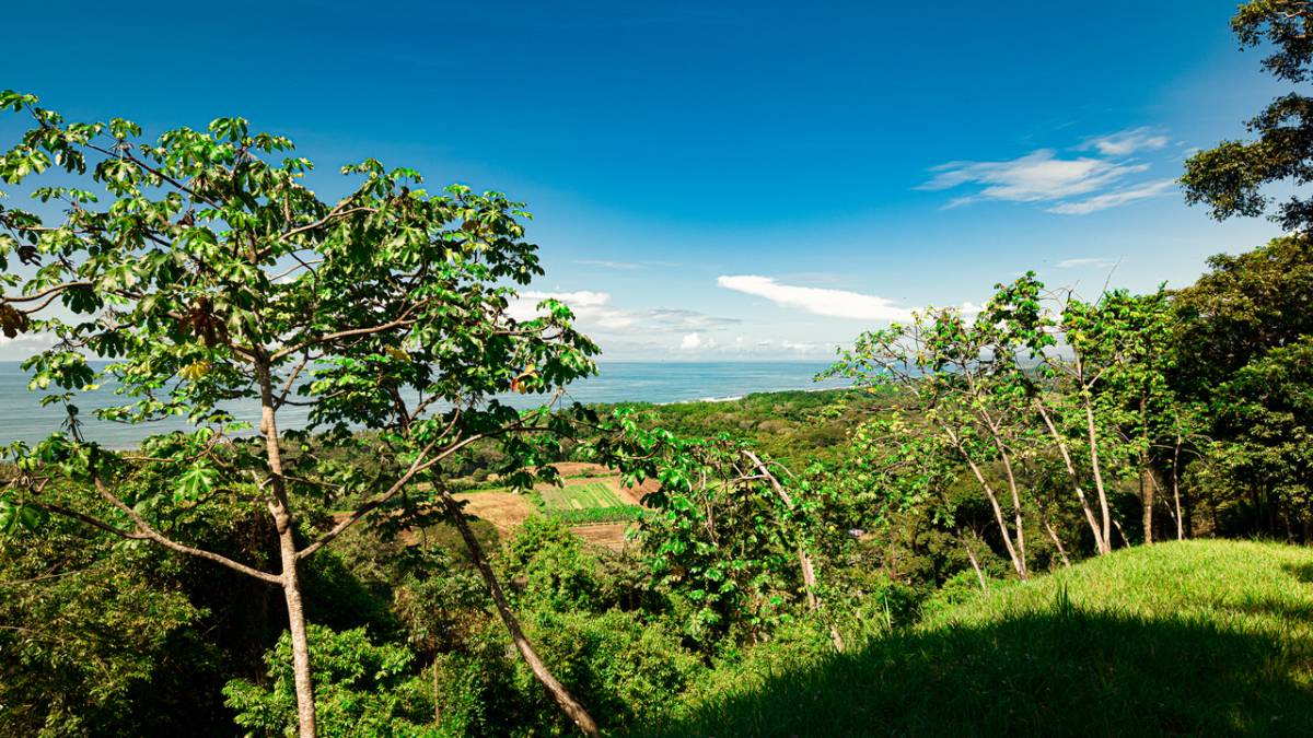 Estate at Dominicalito