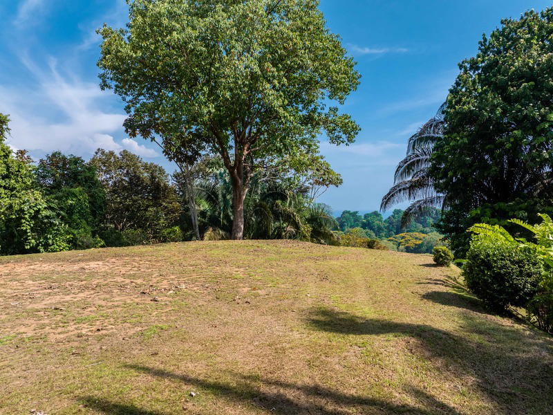 Land at Bahía Ballena