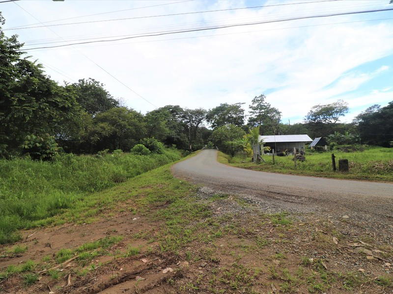 Land at Bahía Ballena