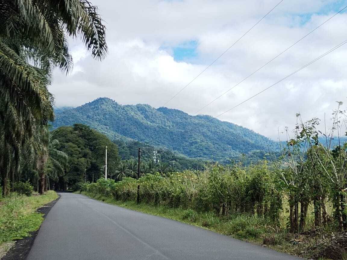 Estate at Quepos