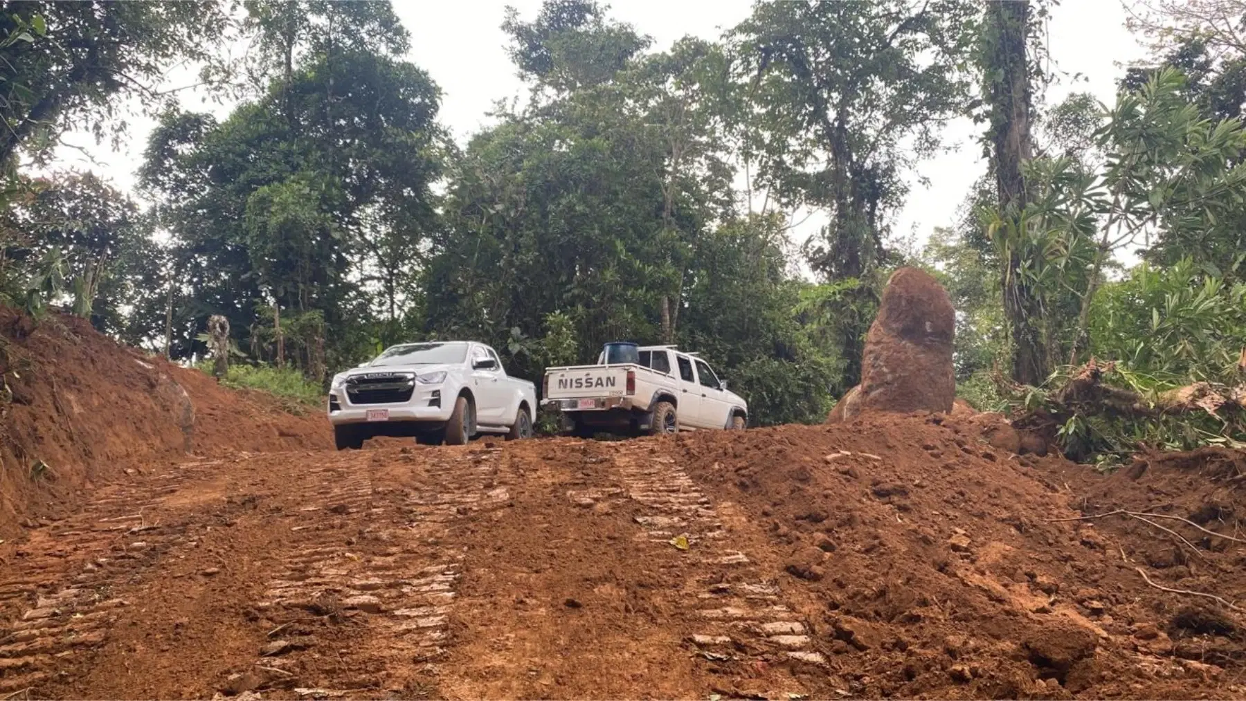 Terreno en Bahía Ballena