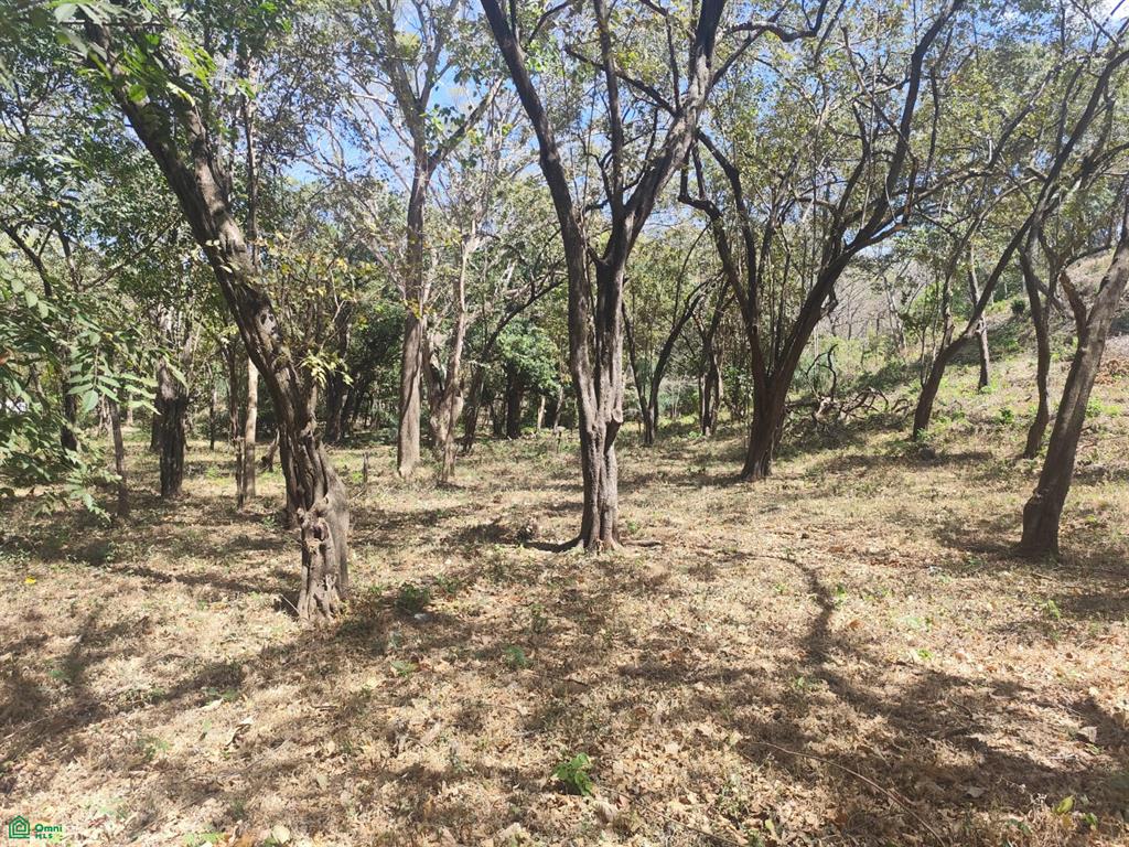 Terreno en Santa Cruz