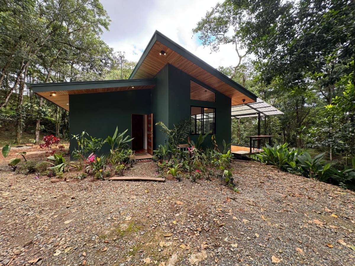 House at San Isidro del General