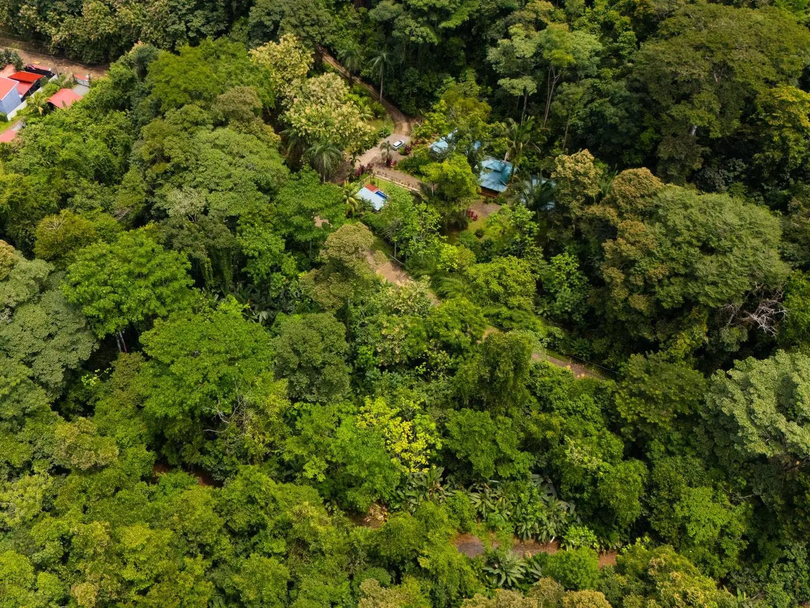 Comercial en Bahía Ballena