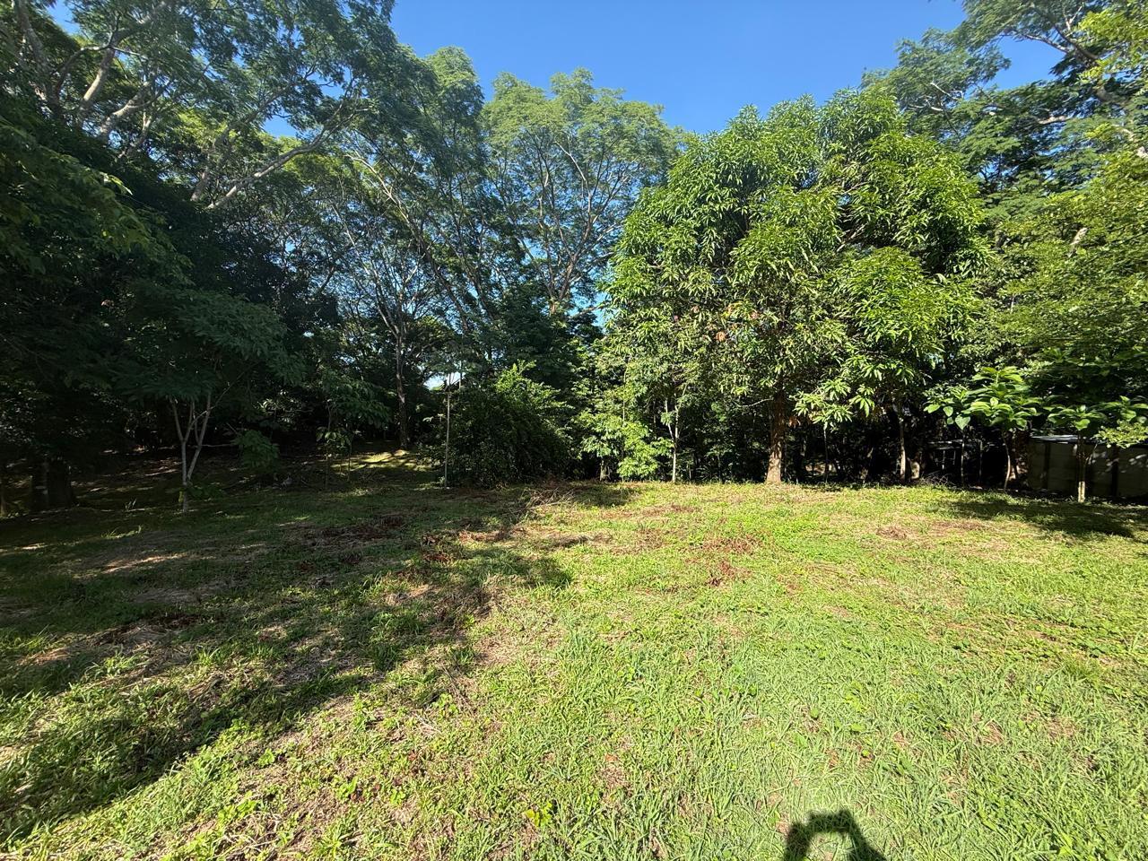 Land at Cóbano