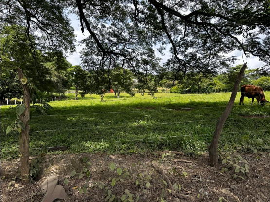 Property at Alajuela