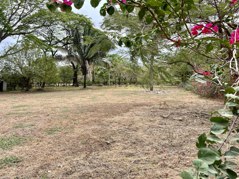 Land at Nosara