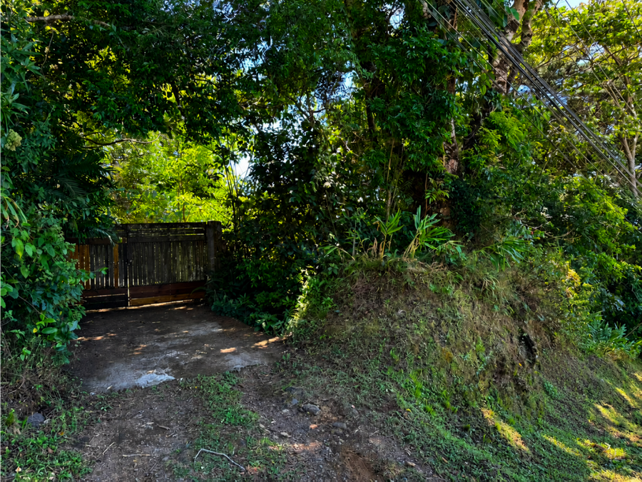 Land at San José de la Montaña