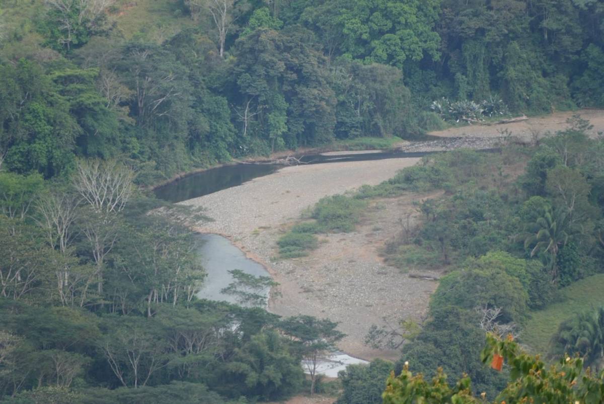 Finca en Fila Negra