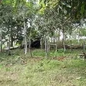 Terreno en Osa