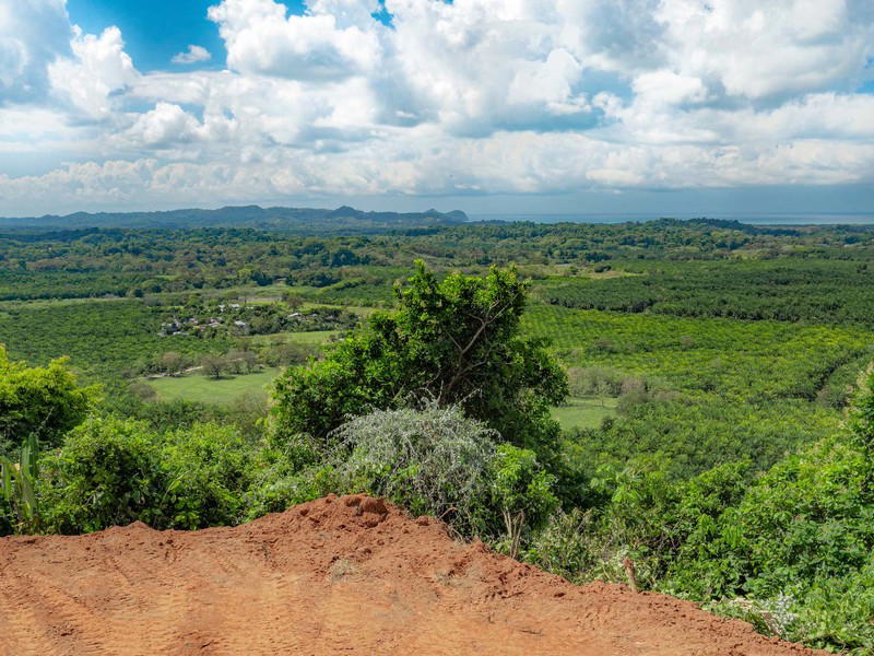 Land at Naranjito