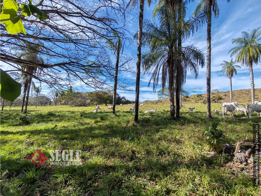 Finca en Abangares