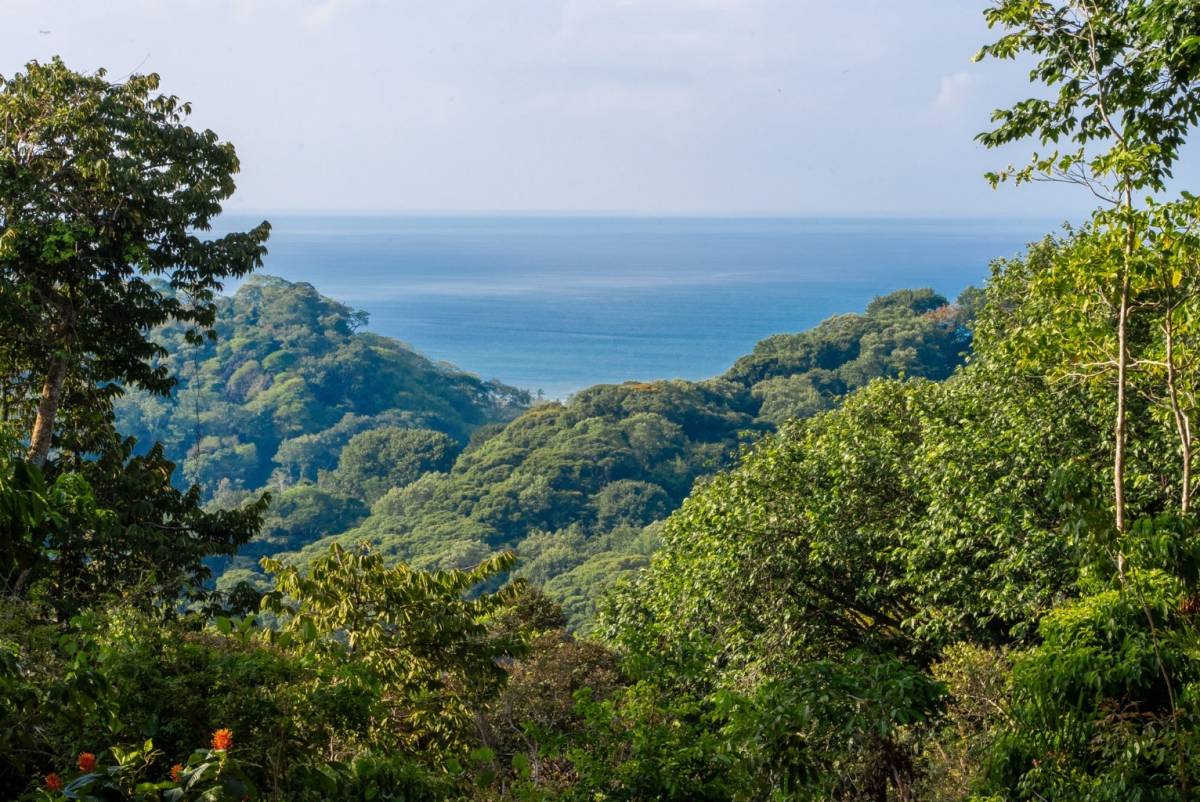 Finca en Savegre