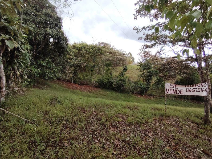 Terreno en San Isidro de El General