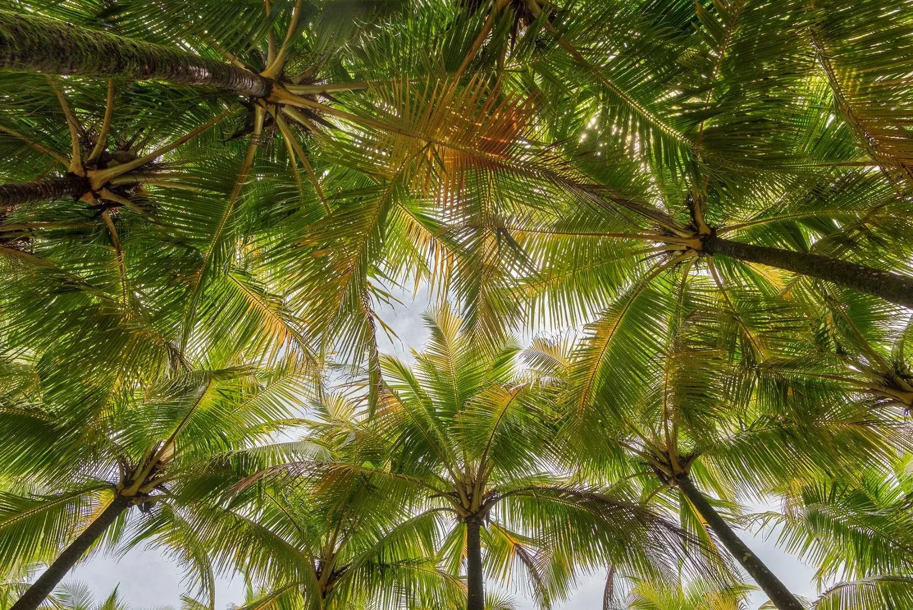Land at Quepos