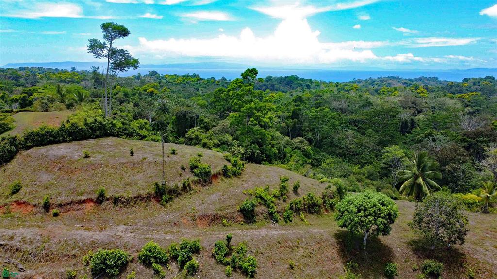Propiedad en Guaycará