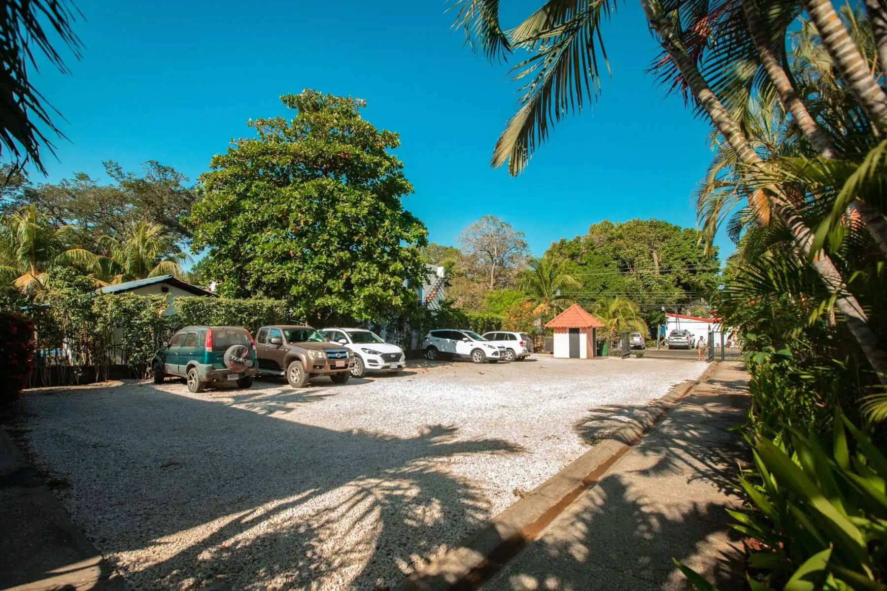 Propiedad en Sardinal