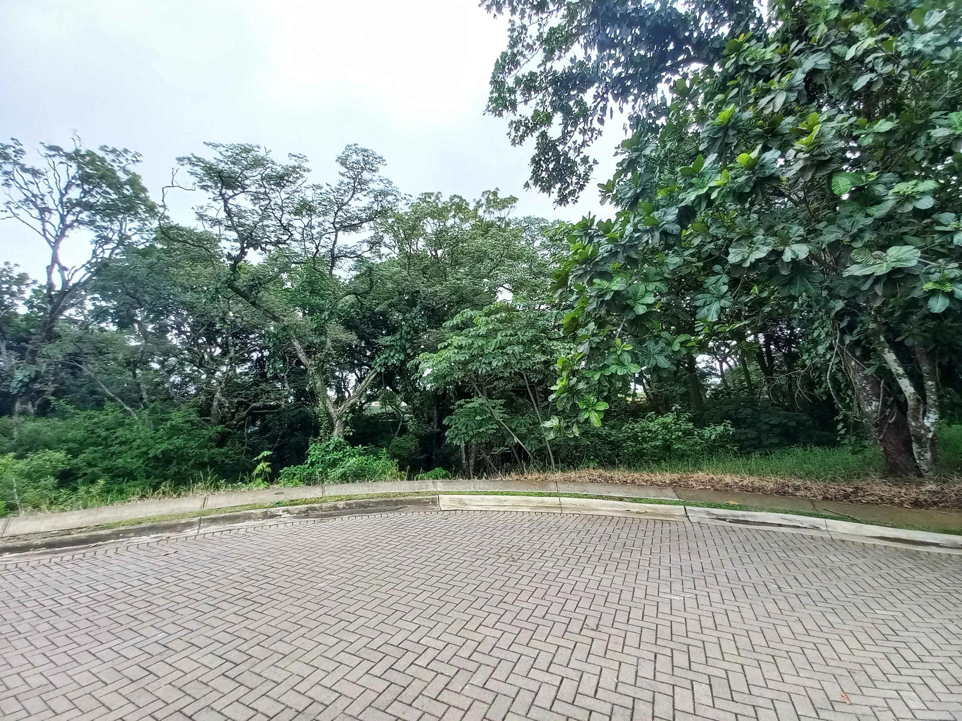 Property at Condominio Espavel