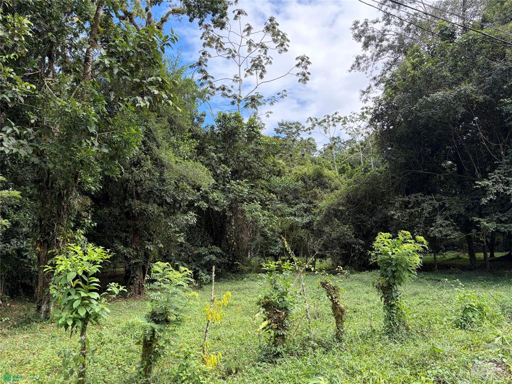 Land at Cariari