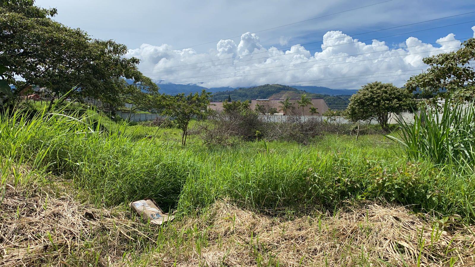 Property at Paraíso