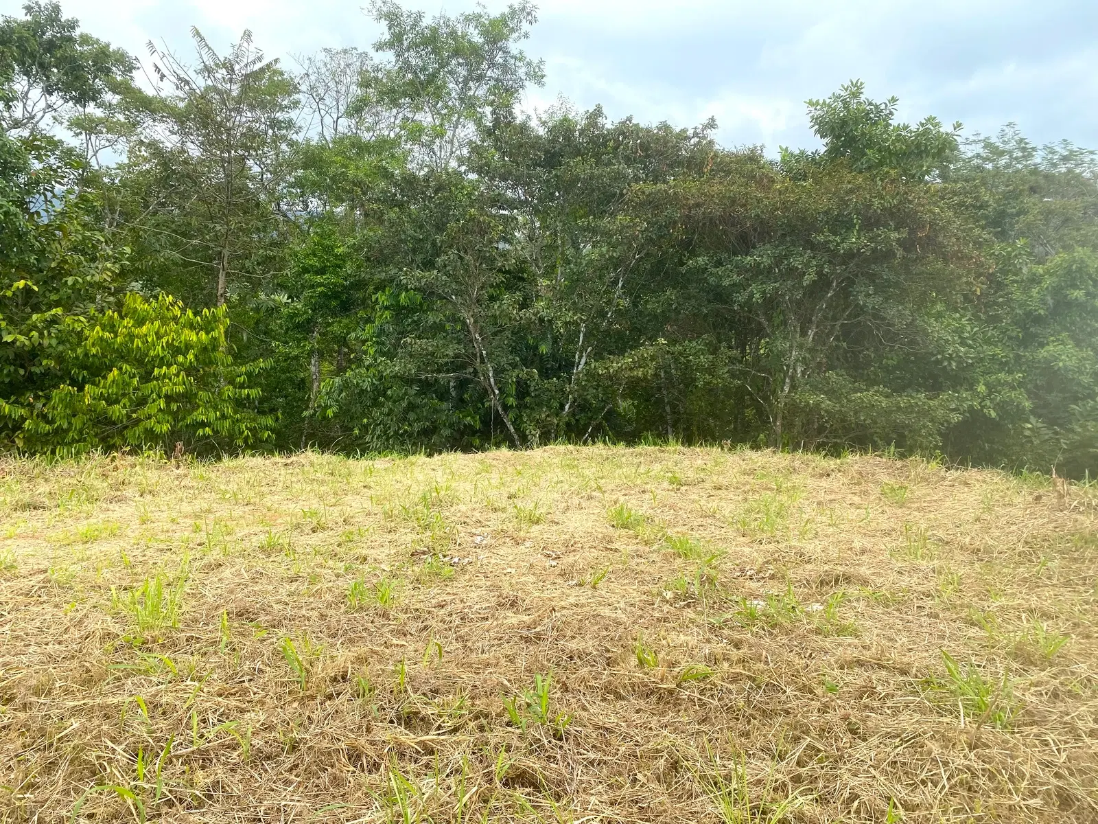 Terreno en Puerto Cortés