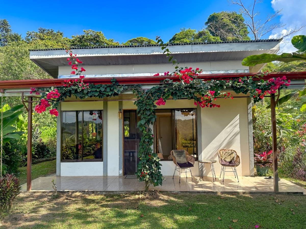 Finca en San Isidro del General