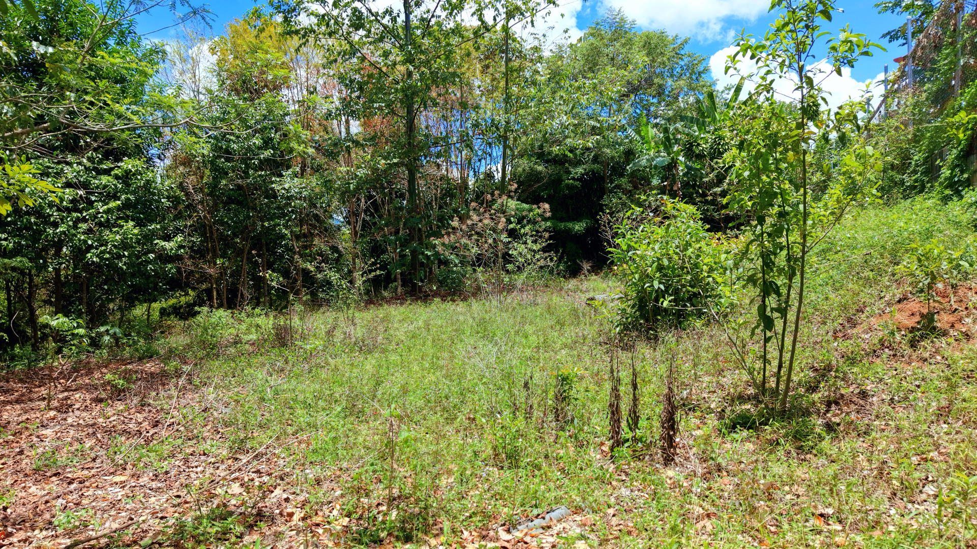 Terreno en El General