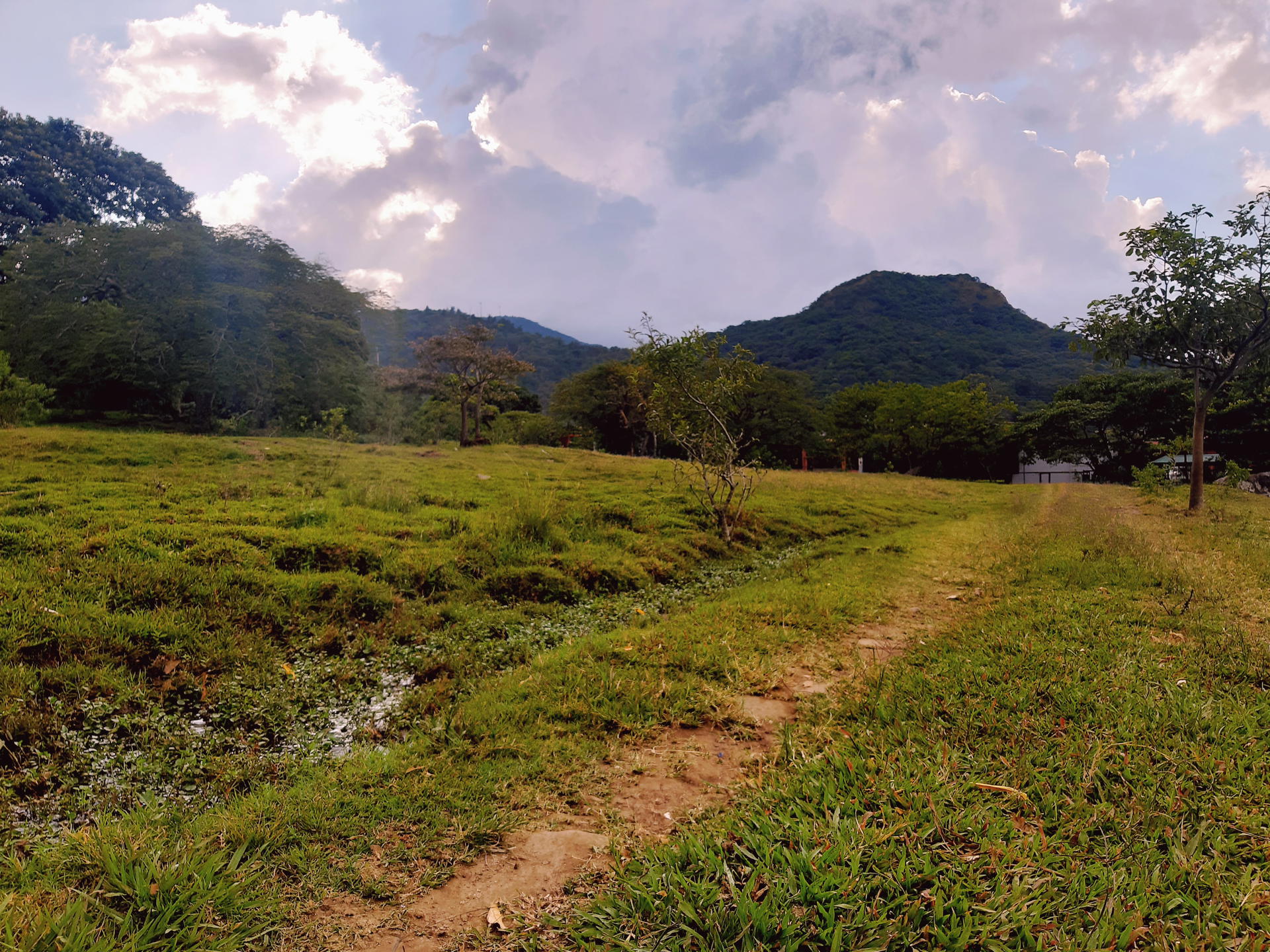 Finca en Santa Ana