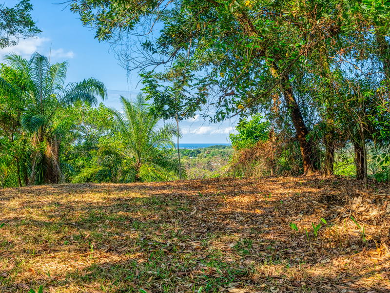 Terreno en Bahía Ballena