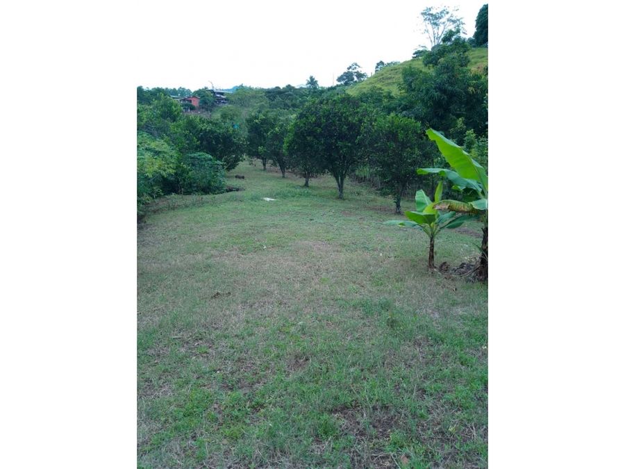 Terreno en Atenas