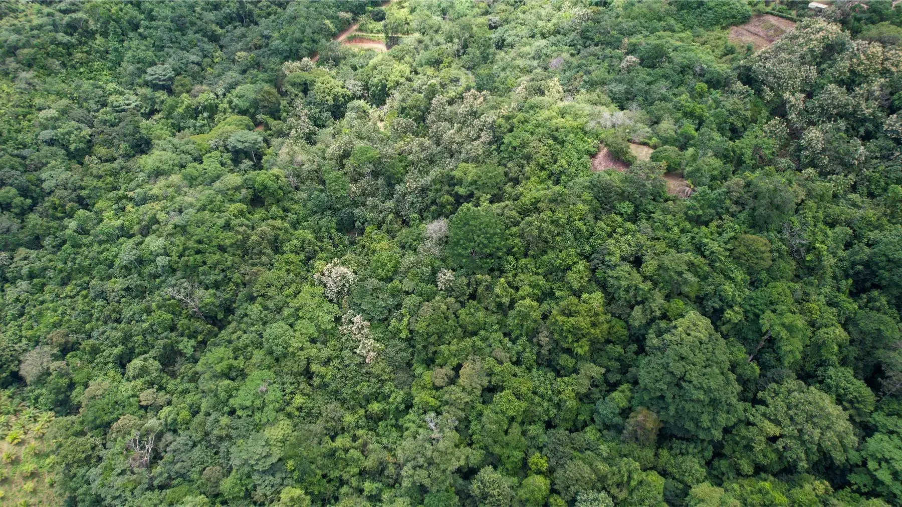 Land at Puerto Cortés