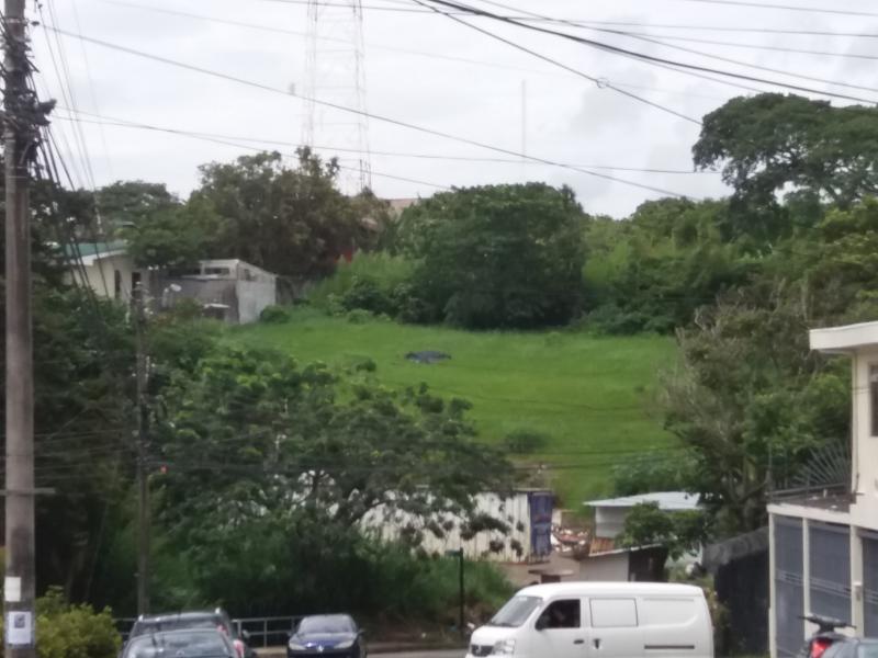 Terreno en San Pedro