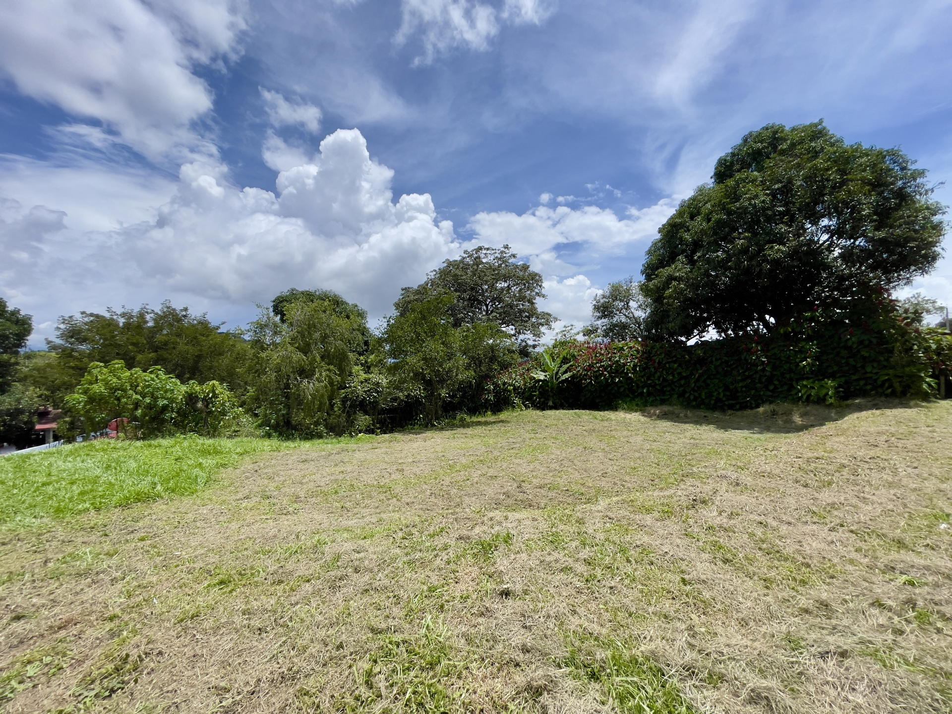 Land at Puente de Piedra