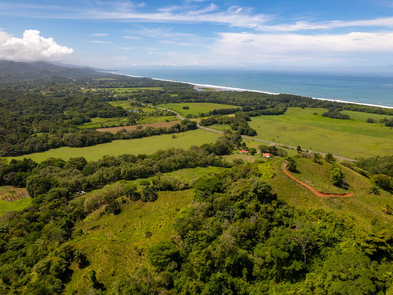 Land at Savegre