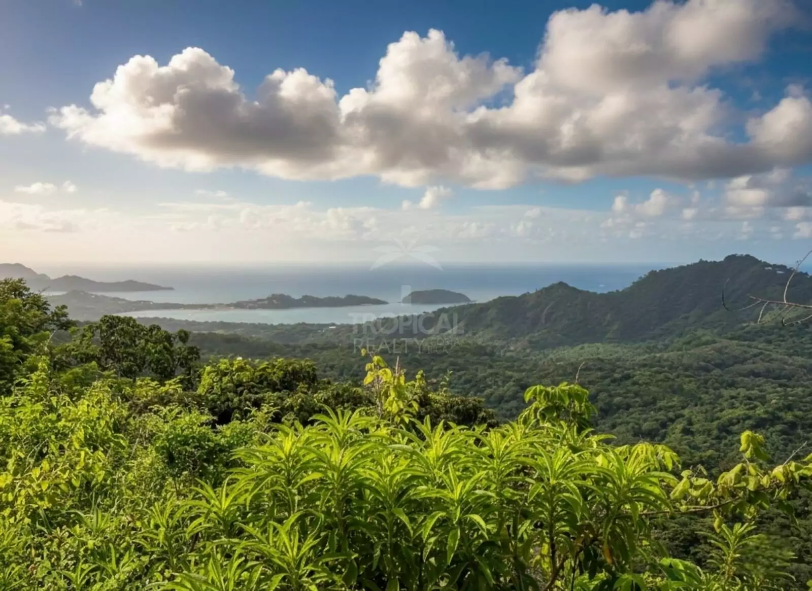 Propiedad en Sardinal