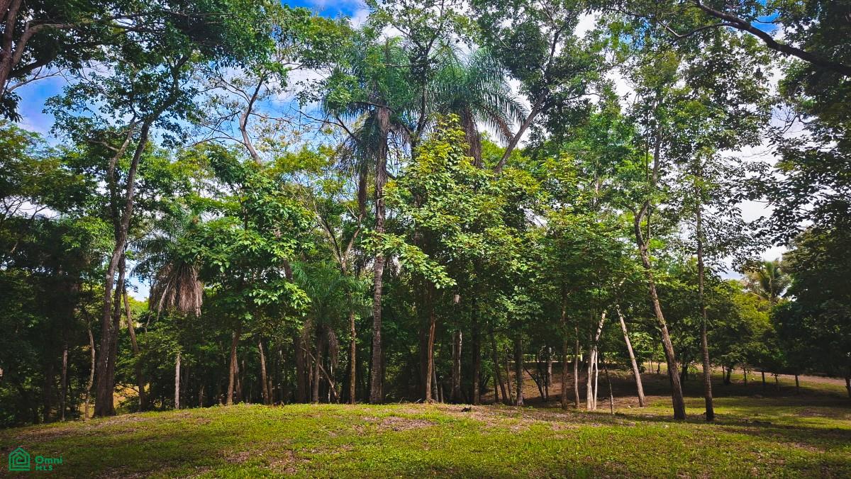 Land at Jacó