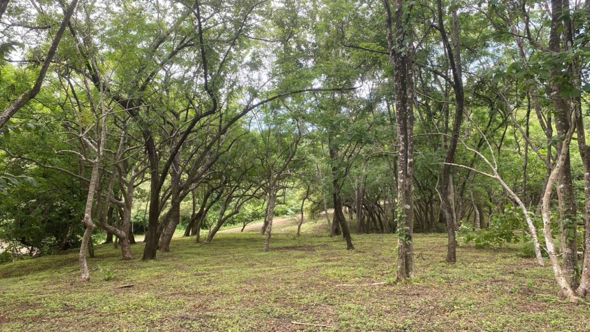 Property at Tamarindo