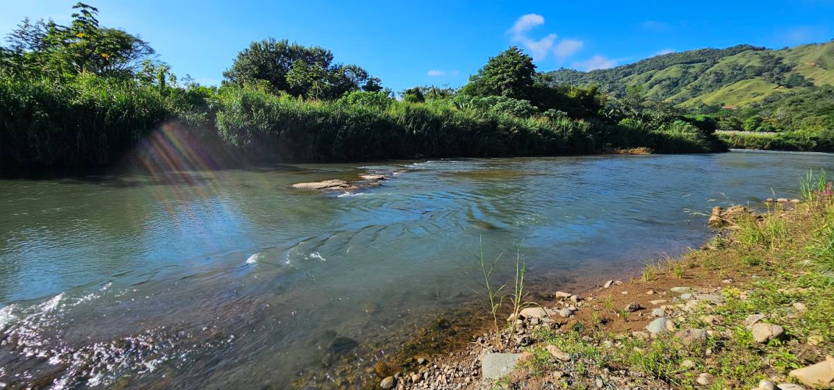 Propiedad en San Isidro del General