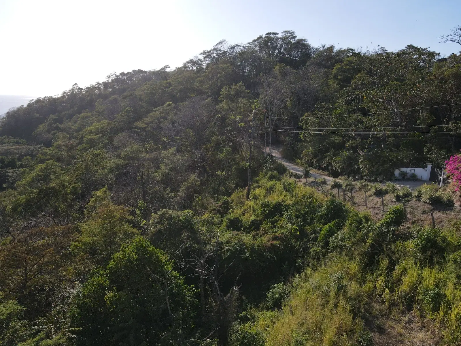 Terreno en Cóbano