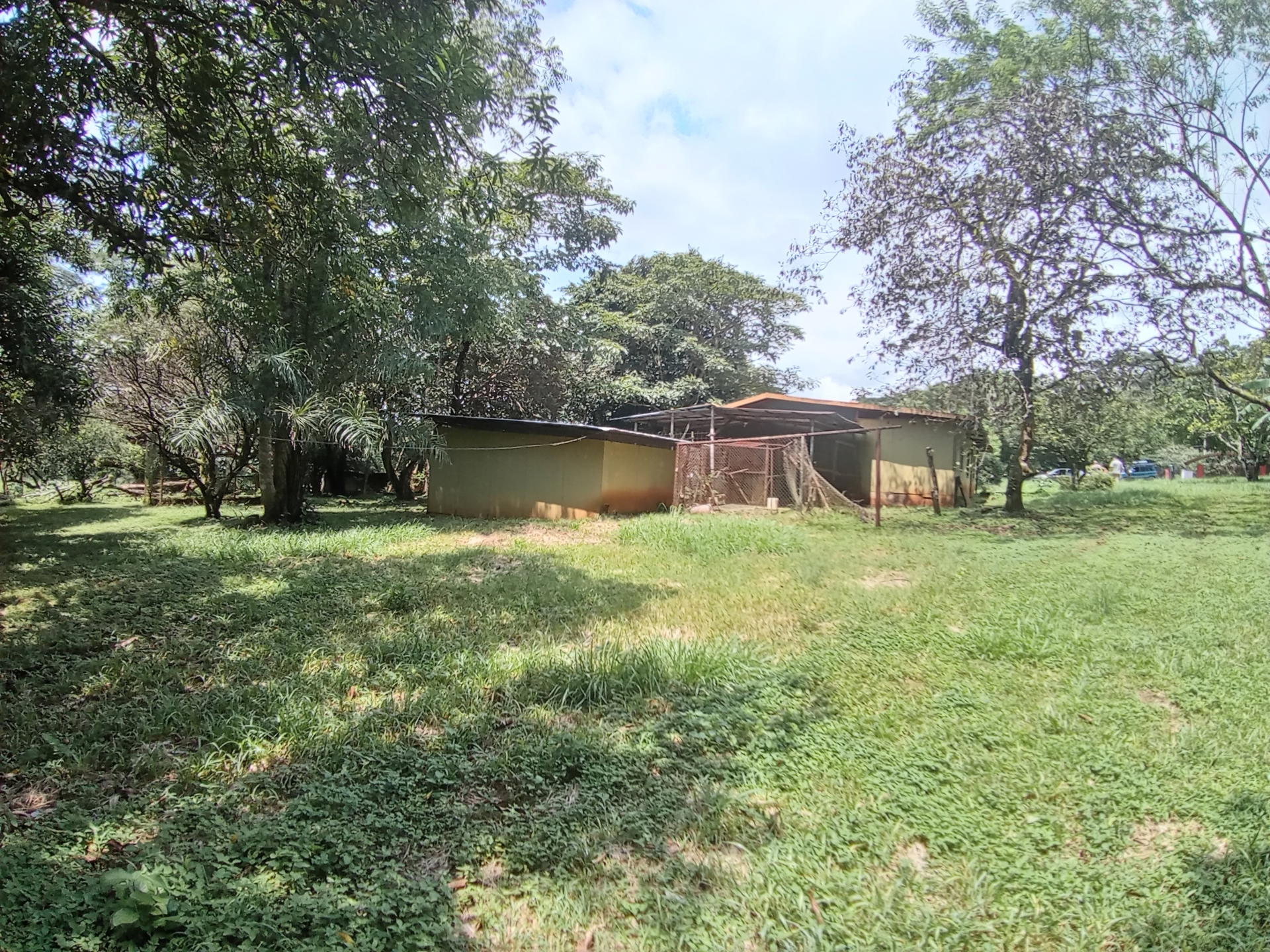 Finca en Orotina