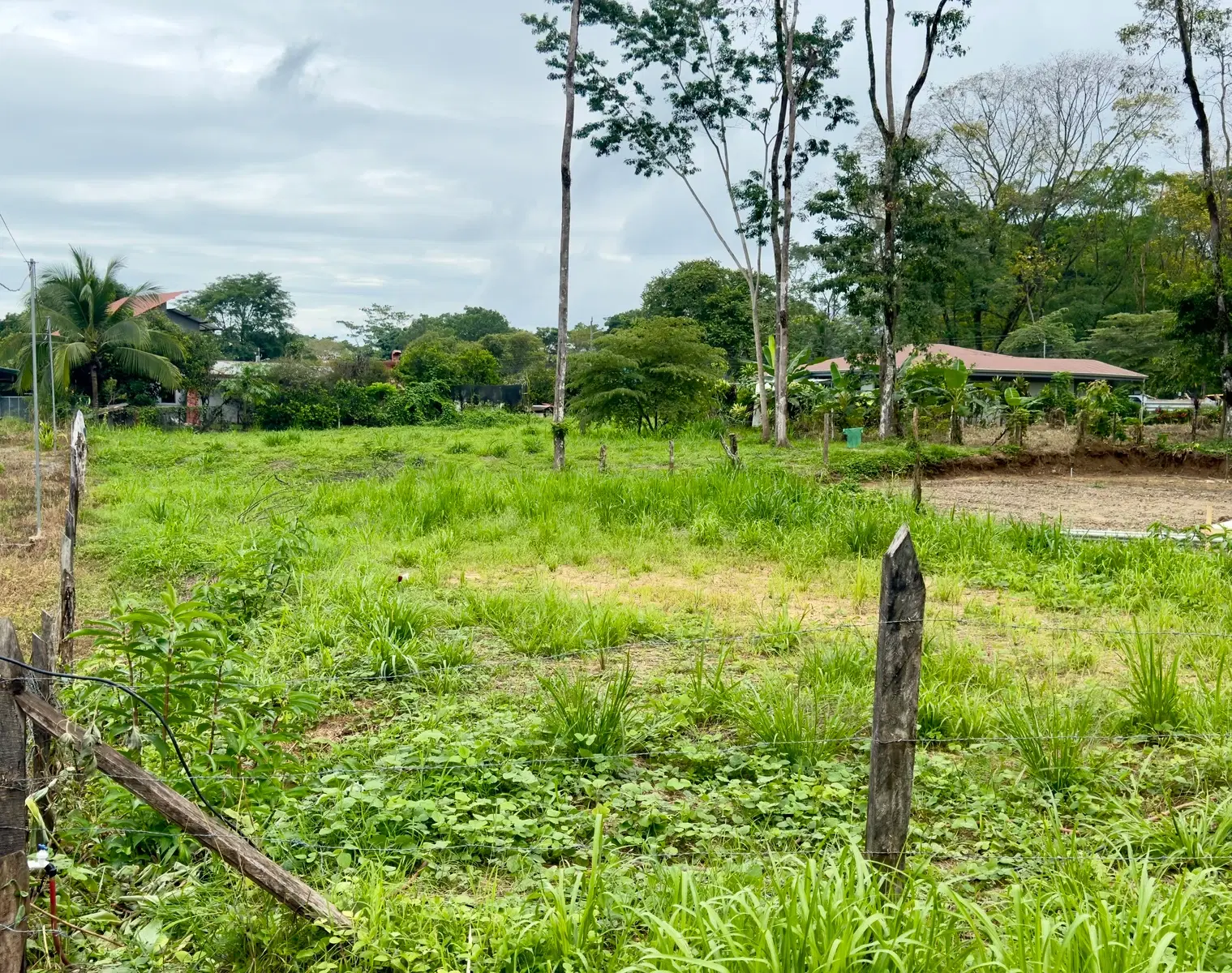 Terreno en Bahía Ballena