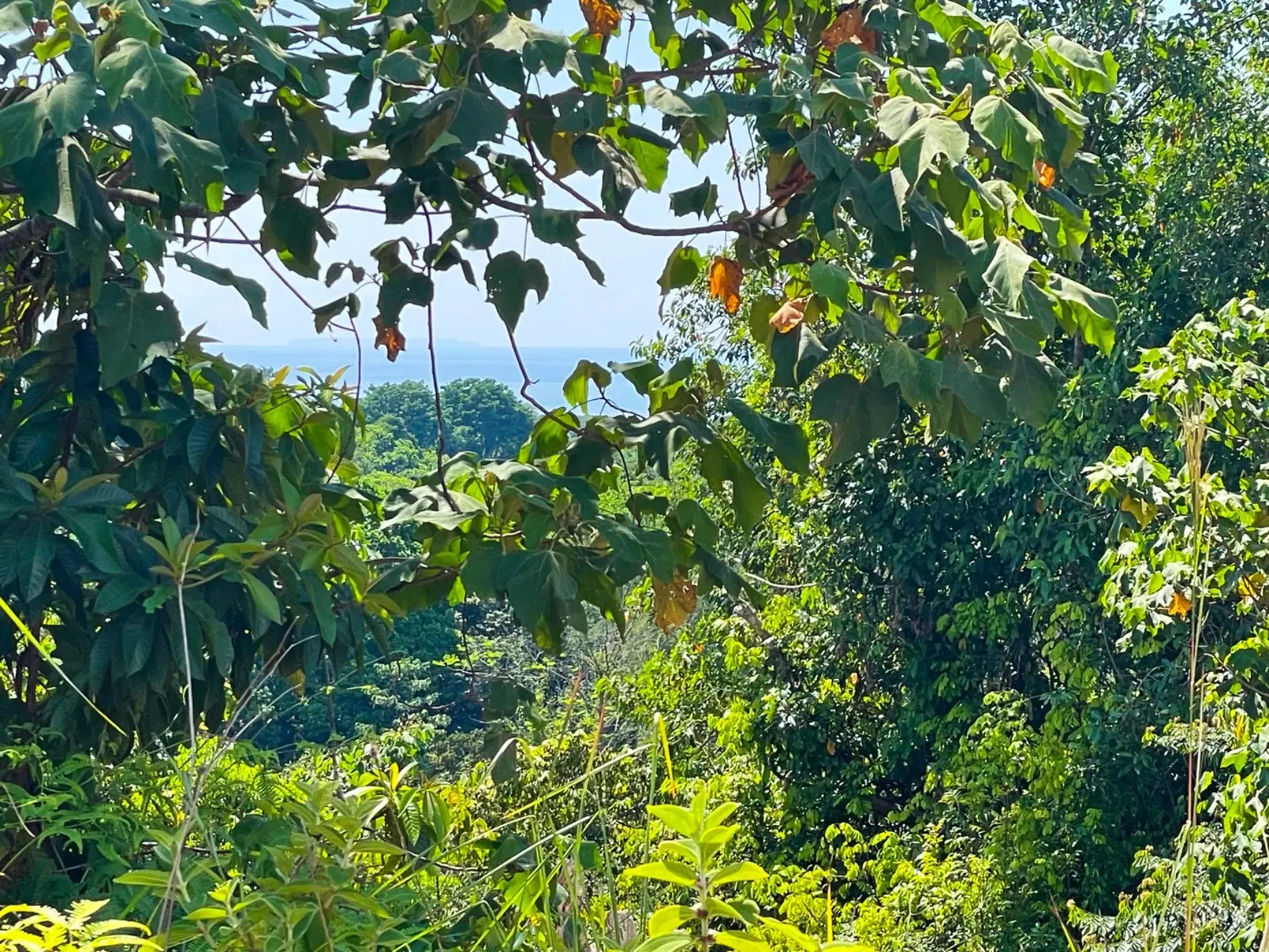 Terreno en Puerto Cortés