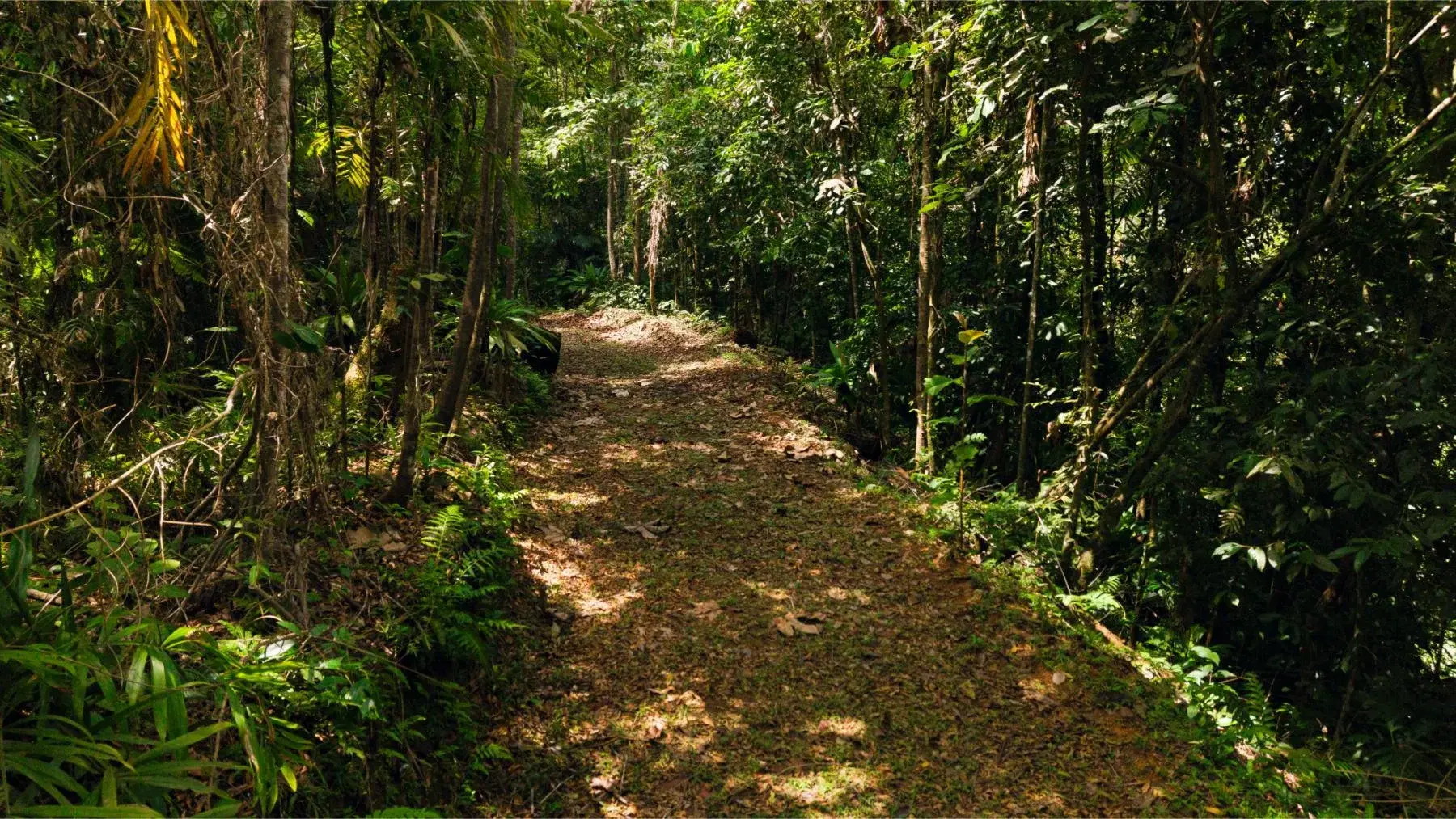 Terreno en Bahía Ballena