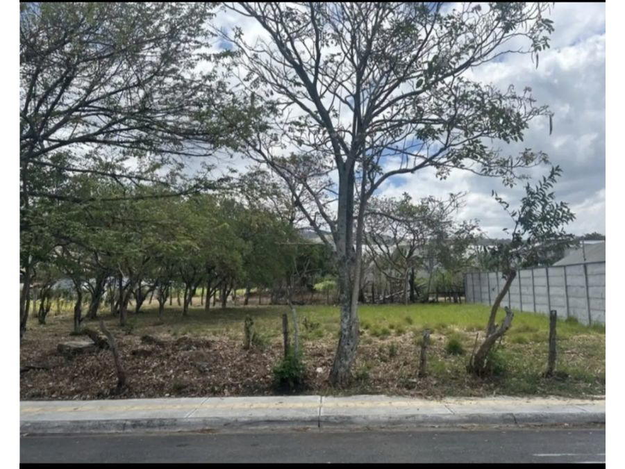 Land at Piedades