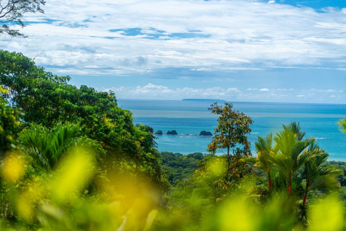 House at Bahía Ballena