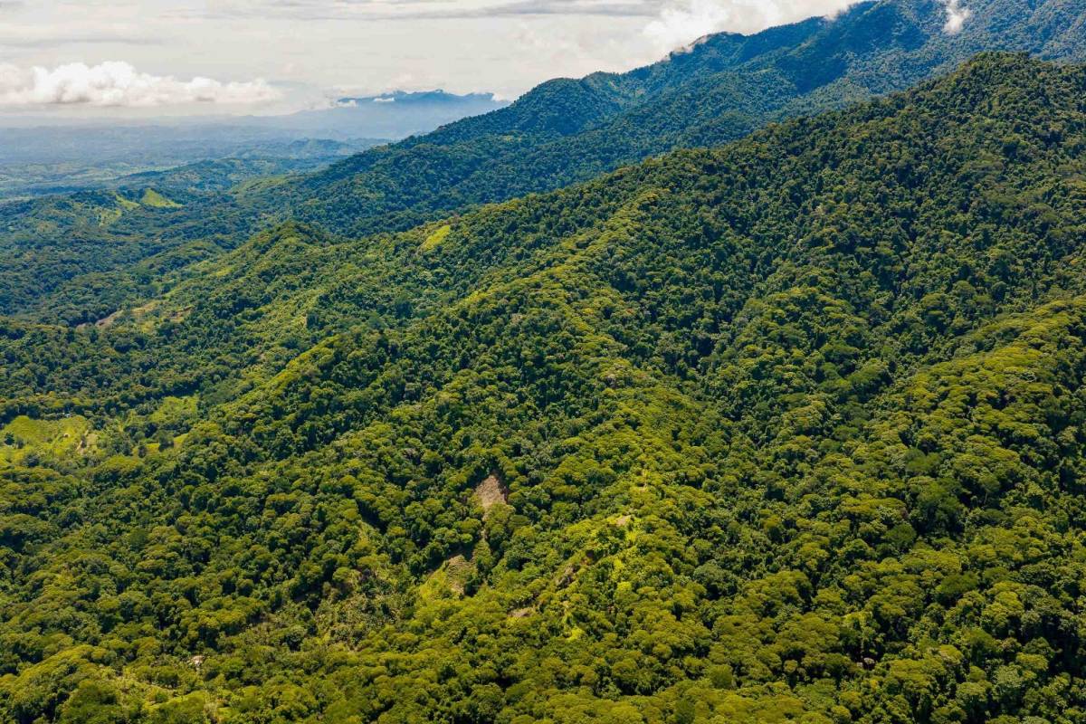 Property at Quepos