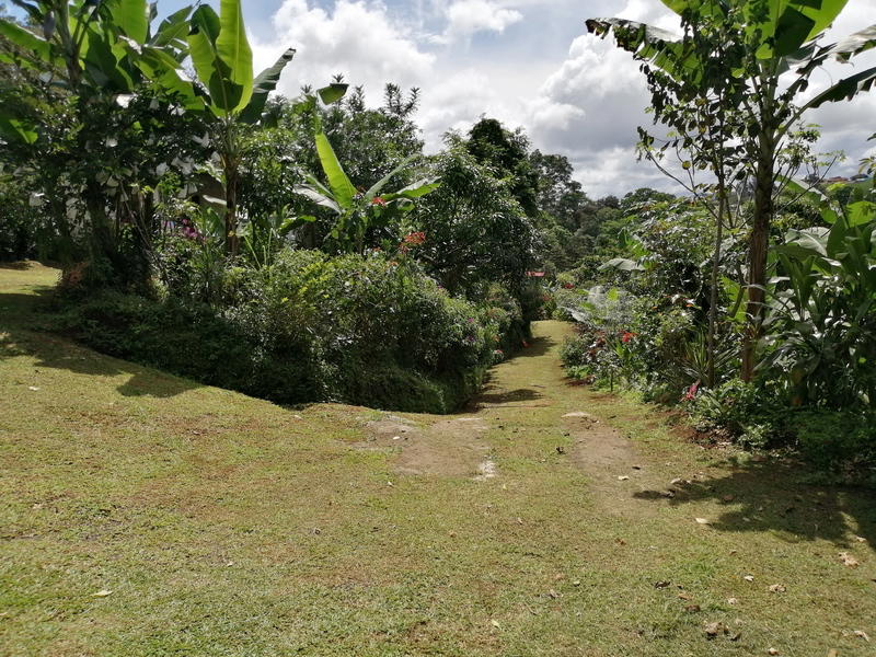 Terreno en Alajuela