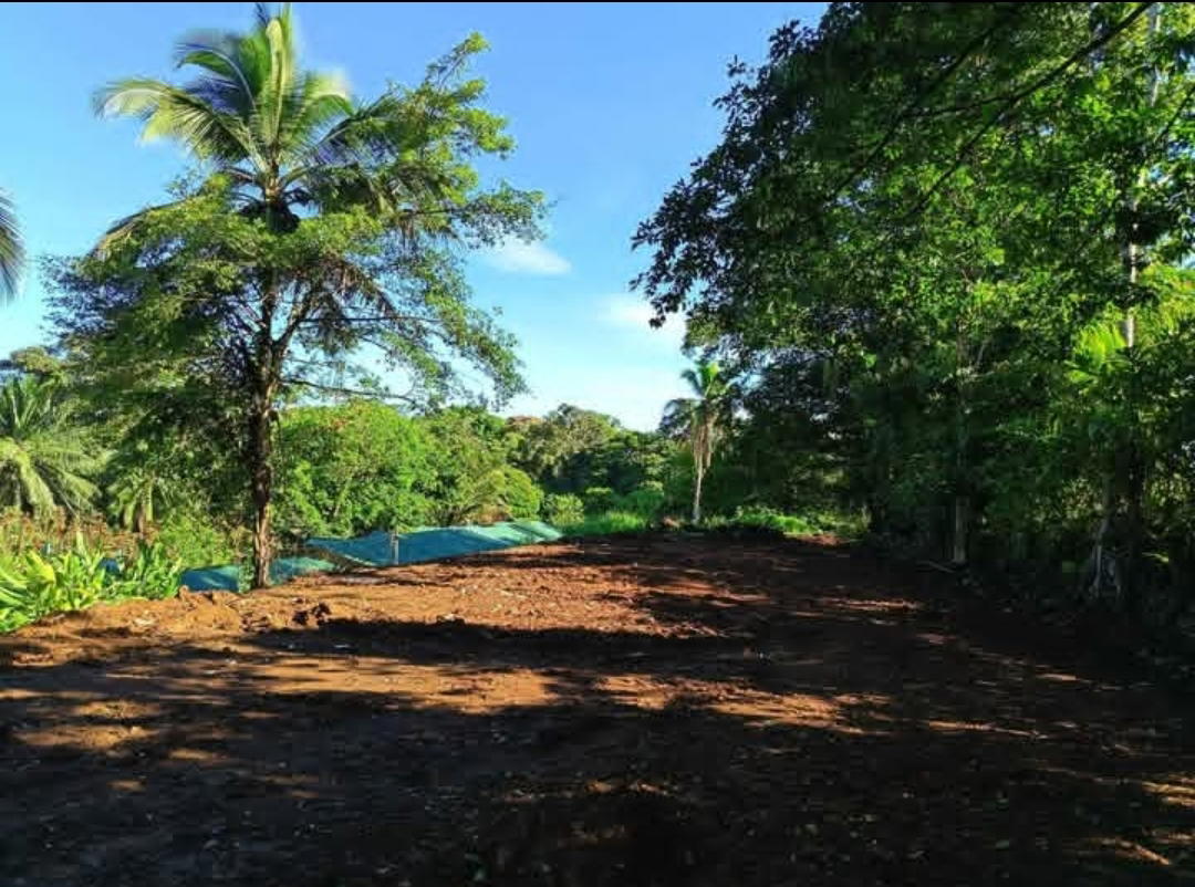 Land at La Virgen