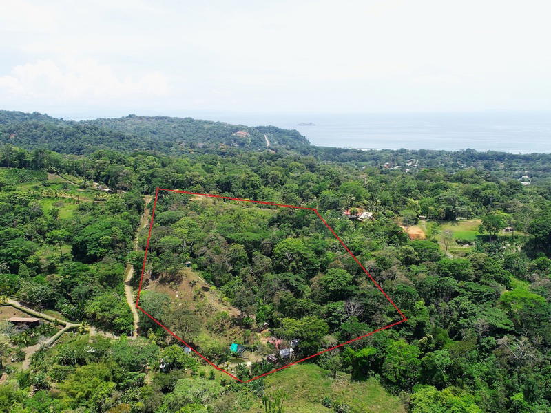 Land at Bahía Ballena